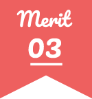 Merit 03