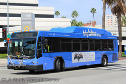 bbb-bus