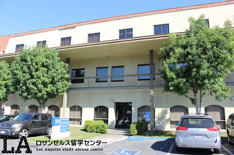 Language Systems International (LSI) – South Bay